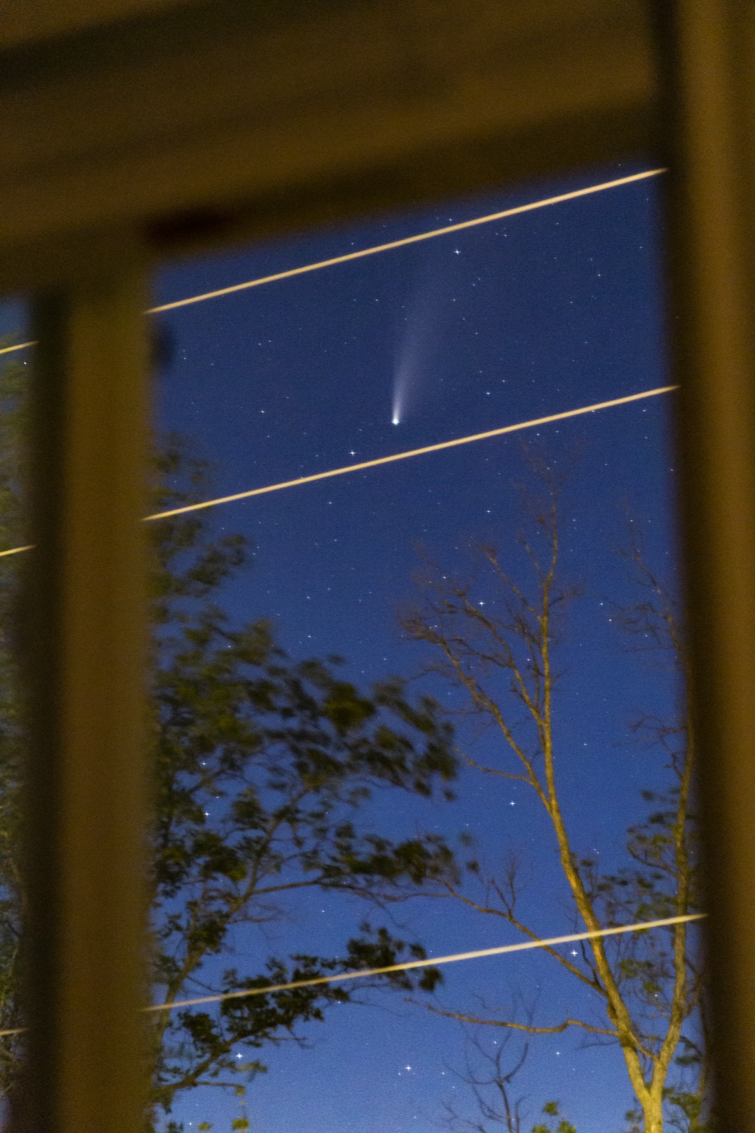 Comet NEOWISE, summer 2020